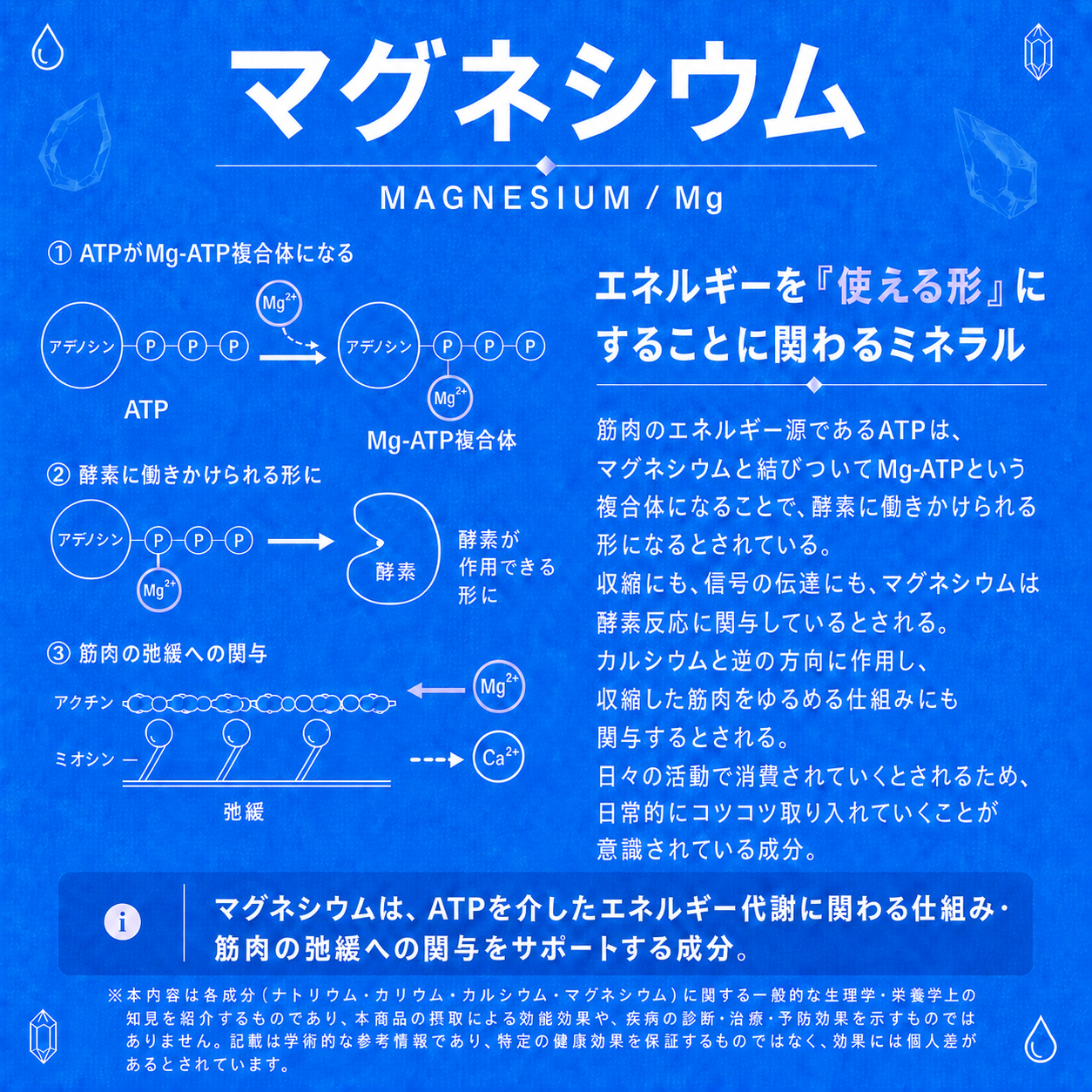 ION ELITE（イオンエリート）