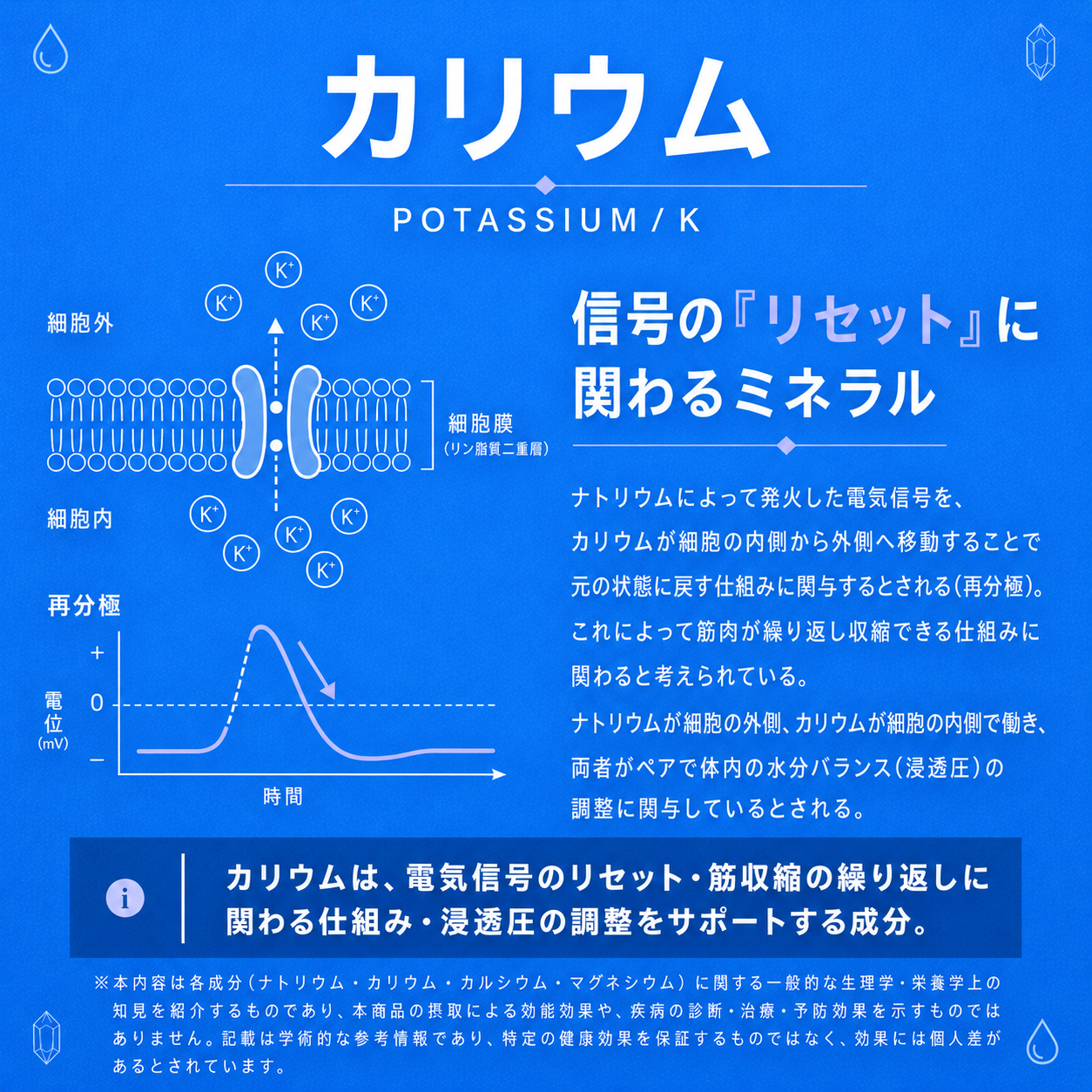 ION ELITE（イオンエリート）